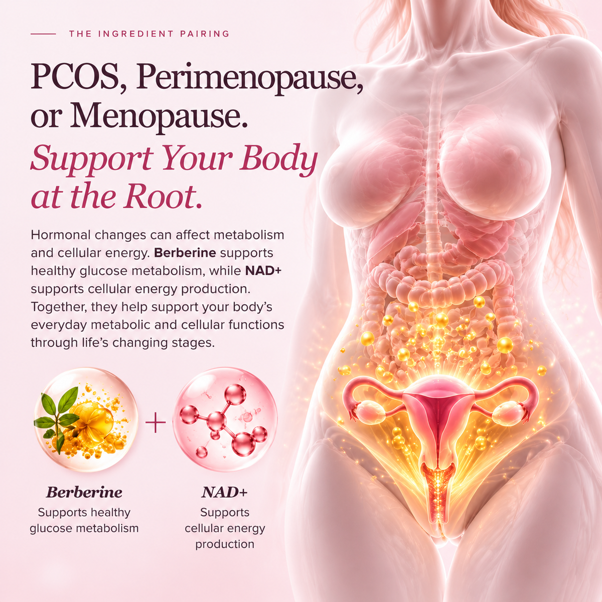 NAD+Berberine 4-IN-1 Intimate Balance Vaginal Capsules