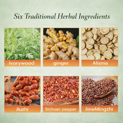 Herbal Balance Patch — Japanese Kampo Formula